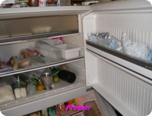 freezer.jpg