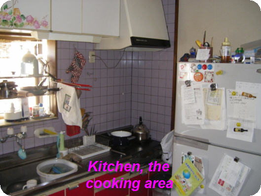 kitchen-the-cooking-area.jpg