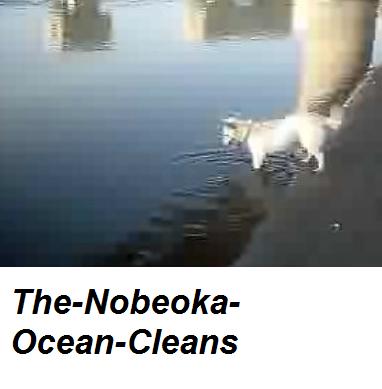 the-nobeoka-ocean-cleans.jpg